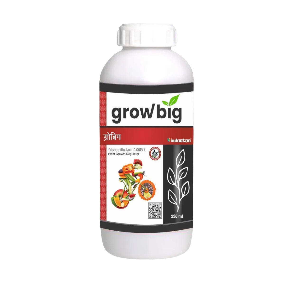 Grow Big