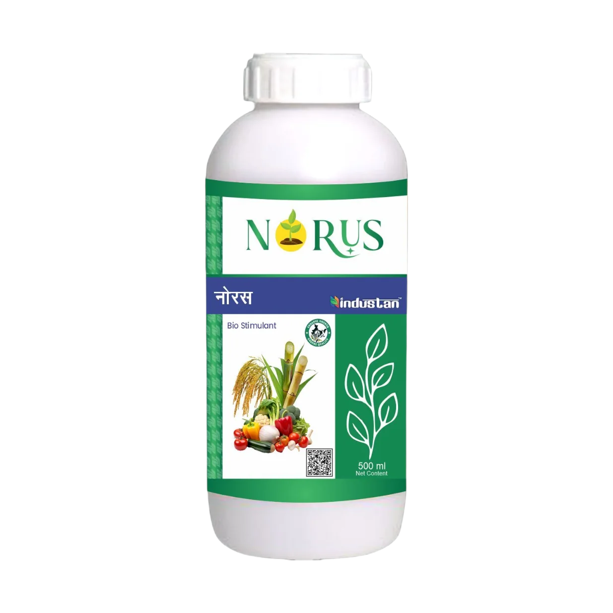 Norus